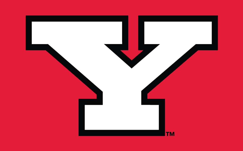 Youngstown State Penguins 1993-Pres Alternate Logo v3 iron on transfers for fabric